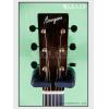 ۳ Bourgeois  OMC Custom Aged Tone Adirondack
