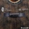۳ Lee guitars ؼͲ