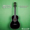 ۳ Martin Custom 00-12 (2179624-0045)