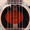 ۳ Gibson J-2000 Custom