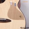 aNueNue Guitar Protector 