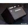 Traynor Acoustic Master Studio