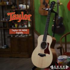 Taylor GS Mini