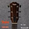 Taylor 110CE
