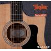 Taylor 310CE
