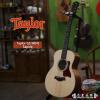 Taylor GS Mini