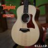 Taylor GS Mini