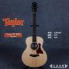 Taylor GS Mini
