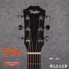 Taylor GS Mini