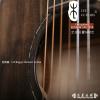  Lee guitars  M-SPE 103K