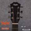 Taylor GS Mini-e Koa FLTD 2015