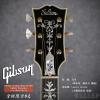 ۳ Gibson Custom shop SJ-200 Gallery Supreme 17ʦ1 ȫ6֧