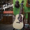 ۳ Gibson Hummingbird Custom Special 6091 ȫ40֧