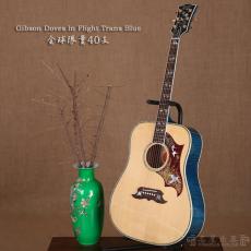 ۳ Gibson Doves In Flight Trans Blue ȫ40֧