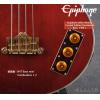 Epiphone Allen Woody Limited Edition Rumblekat Bass WR