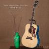 ۳ Gibson Doves In Flight Trans Blue ȫ40֧