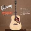 ۳ Gibson Doves In Flight Trans Blue ȫ40֧