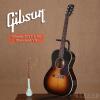 Gibson 2017 L-00 Standard VS
