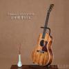 Gibson L-00 All KOA ȫ65֧