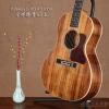 Gibson L-00 All KOA ȫ65֧