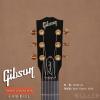 Gibson L-00 All KOA ȫ65֧