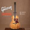 Gibson L-00 All KOA ȫ65֧