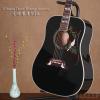 ۳ Gibson Dove Ebony Special ȫ50֧