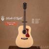 Guild D-240E Natural