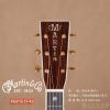 Martin D-42