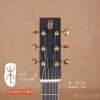 ۳ Lee Guitars H Jr 