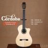 Cordoba Fusion Orchestra CE