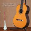 ۳ JUAN HERNANDEZ CONCIERTO-CD