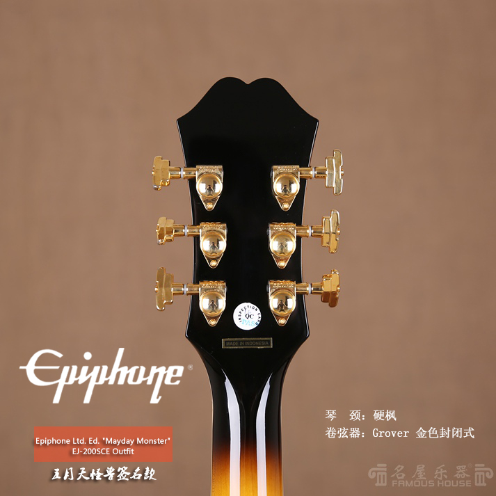 Epiphone Ltd. Ed. 
