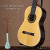 أJUAN HERNANDEZ TORRES-SP