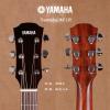 Yamaha AC1R