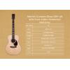 ۳ Martin OM Custom Shop Wild East Indian Rosewood Dice Inlay