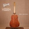۳ Gibson J-45 Bilwara Custom Shop ȫ75֧