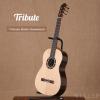 Tribute Basic Rosewood