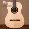 Tribute Basic Rosewood