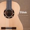 Tribute Basic Mahogany