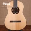 Tribute Basic Mahogany