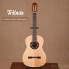 Tribute Basic Mahogany