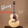 ۳ Gibson SJ-200 Montana Gold Mystic Rosewood (133460xx)