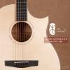  Lee guitars M-SPCE 398