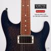 ۳ Schecter Masterwork M16-1201 SS CTM II BC LACEWOOD