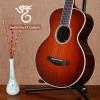۳ Santa Cruz FF Custom