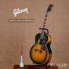 ۳ Gibson Custom SJ-200 Iguana