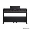 Roland RP102