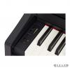 Roland RP102