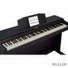 Roland RP102